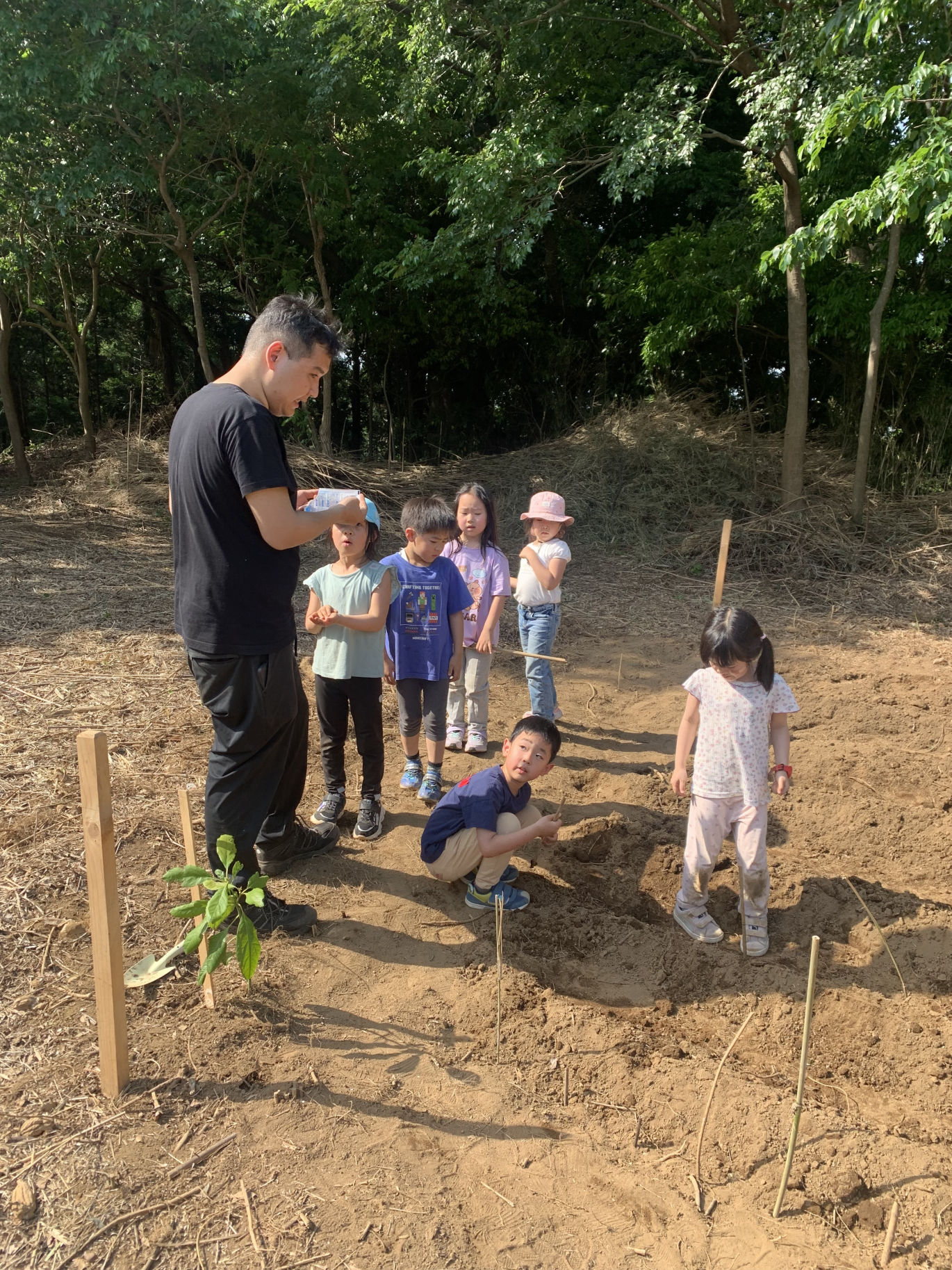 Simple Bootstrap Theme 